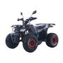 125CC Hunter Offroad Quad Bike Tao Motor + Remotes Blue For 12 Years + - Black