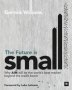 The Future Is Small   Paperback