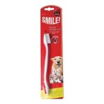 Double Toothbrush