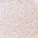 White Vermicili 60 G
