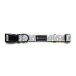 Alfie Collar Dog Collar - Medium Xgrey