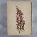 Fynbos 1 Art Print - A2 Framed Canvas With Natural Wood Frame
