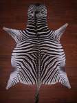 Aa Grade Zebra Hide 084 M