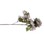 Bougainvillea Stem 88CM - White