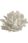 Coral Decor - Black