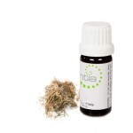 Escentia Vetiver Essential Oil - 11ML