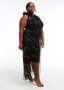 Stellar Stella Tulle Shimmer Lbd - XL