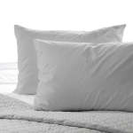 200 Thread Count Cotton Rich Percale Pillowcase Light Grey - Continental Single 80X80CM