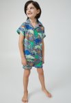 Cotton On Andre Cheesecloth Short Sleeve Pj Set - Steel dino Roarrr