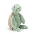 Bashful Turtle Medium By