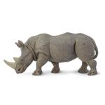 White Rhino By