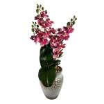 Pink Orchid In Pot 48CM