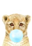 Bubble Gum Lion Blue - Canvas Print - 600MM X 600MM