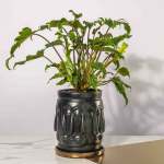 Unity Planter & Tray - Matt Black
