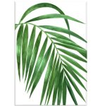 GREE N Leave 2 Wall Art Photography Print On Canvas 813 X 1220