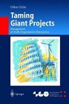 Taming Giant Projects: Management Of Multi-organization Enterprises Organization And Management Innovation