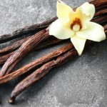 Vanilla Wanilla Concentrate - 50ML