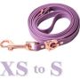 Waterproof Dog Leash For Small Dog Breeds Lilac & Rose Gold