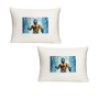 Aqua Man Twin Standard Pillow Cases