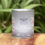 Lion’s Mane 77G Soaring Free Superfoods