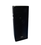 Dual 10" 300W Passiv Carpeted Pa