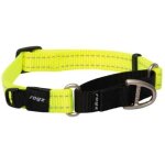 Rogz Utility Control Web Large Dog Collar - Dayglo Reflective Waggs Online Pet Shop