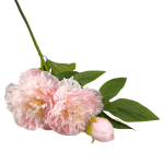 Peony 3 Head 72CM - L pink