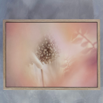 Blush Dreams 7 Art Print - A1 Framed Canvas With Natural Wood Frame