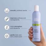 No Frizz Allowed Perfecting Shampoo 300ML