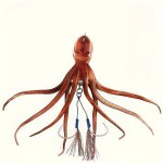 1PC Realistic Octopus Lure Long Casting Soft Lure Outdoor Fishing Tackle