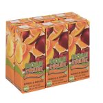 Liquifruit PK6 200ML Mango Orange