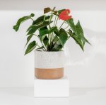 Ceramic Planter - Speckled White - Medium 18 X 16.5CM