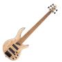 Artisan B5 Element 5-STRING Bass Guitar