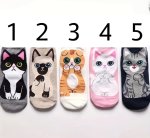 Cat Pattern Socks Assorted Available SC8