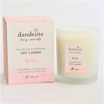 Soy Candle Bliss