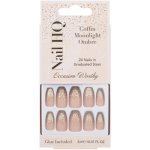 Nail HQ Coffin Moonlight Ombre Nails