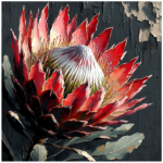 Scatter Cushion Or Cushion Cover Dark Protea