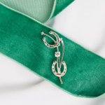 Horseshoe Brooch With Cubic Zirconia