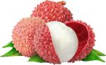 Lychee Concentrate - 10ML