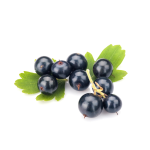 Sharp Blackcurrant Mb - 10ML