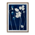 Poppies 2 I Art Print - A4