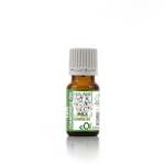 Cape Chamomile Essential Oil - 5 Ml