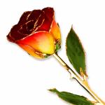 Allmygold 11" 24K Gold Dipped Real Rose Yellow Red