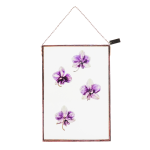 Orchid Botanical Wall Art A5 - Black