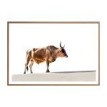 Nguni With A View Art Print - A4