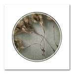 Foraged Texture Rounds 2 Art Print - 100 X 100CM No Frame Print Only
