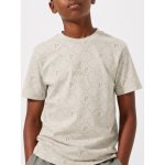 Polo Boys Sebastian Monogram Short Sleeve T-Shirt In Cool Sage - Cool Sage 13-14