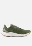 New Balance Fresh Foam Arishi V4