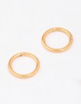 Goldair Gold Plated Titanium Sleeper Earrings 10MM