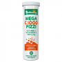 Mega C 100MG 10S